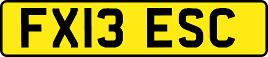 FX13ESC