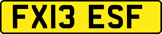 FX13ESF