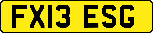 FX13ESG