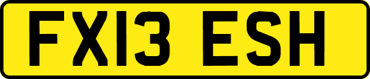 FX13ESH