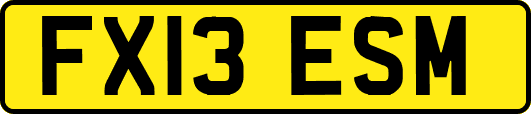 FX13ESM