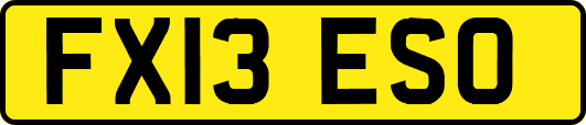 FX13ESO