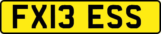 FX13ESS