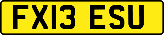 FX13ESU