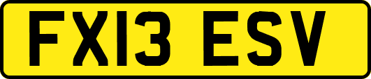 FX13ESV