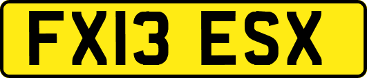 FX13ESX