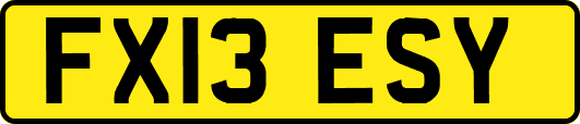 FX13ESY