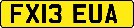FX13EUA