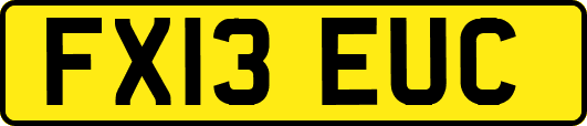 FX13EUC