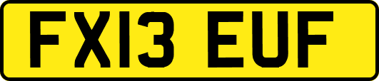 FX13EUF