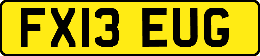 FX13EUG