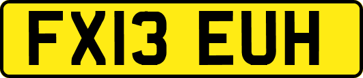 FX13EUH