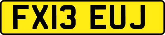 FX13EUJ