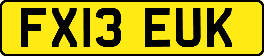 FX13EUK