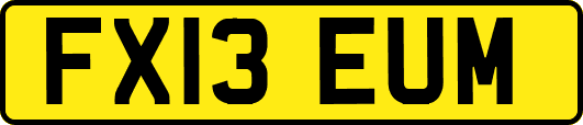 FX13EUM