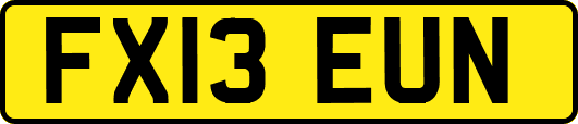 FX13EUN
