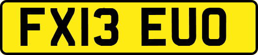 FX13EUO