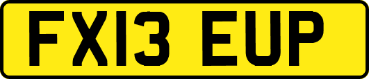 FX13EUP