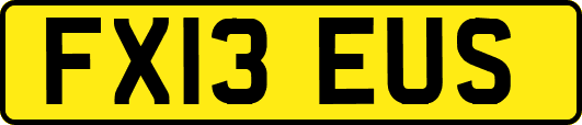 FX13EUS
