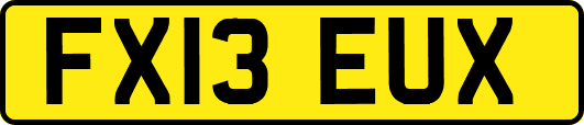 FX13EUX