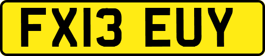 FX13EUY