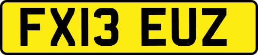 FX13EUZ
