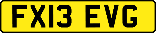 FX13EVG