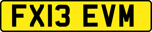 FX13EVM
