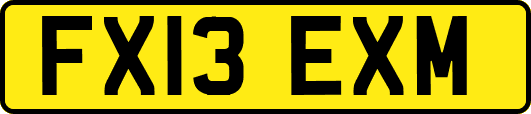 FX13EXM