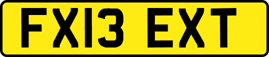 FX13EXT