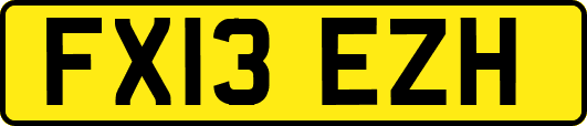 FX13EZH