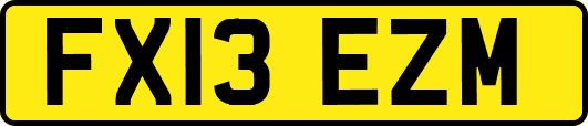FX13EZM