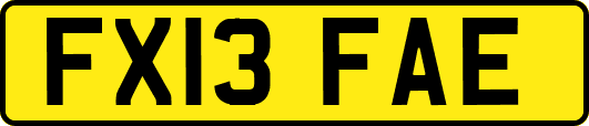FX13FAE