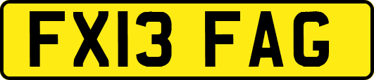 FX13FAG