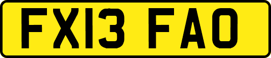 FX13FAO