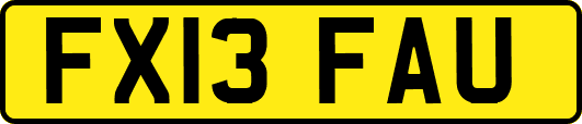 FX13FAU