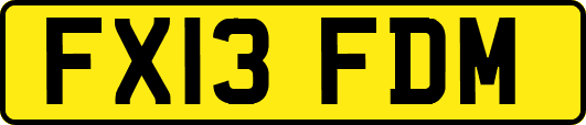 FX13FDM