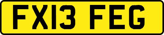 FX13FEG