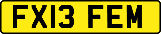 FX13FEM