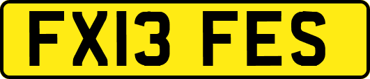 FX13FES