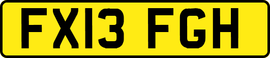 FX13FGH
