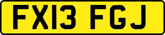 FX13FGJ