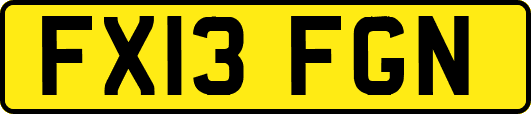 FX13FGN