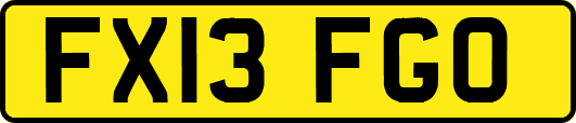 FX13FGO