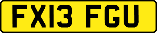 FX13FGU