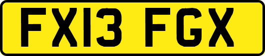 FX13FGX