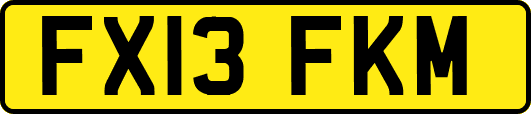 FX13FKM