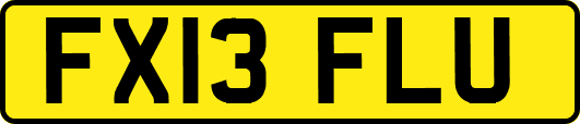 FX13FLU