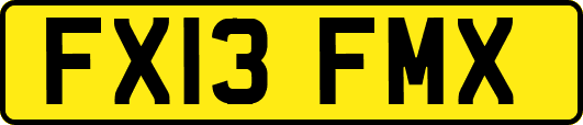FX13FMX