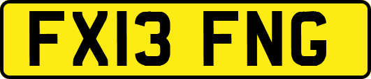 FX13FNG